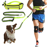 Hands-Free Dog Walking Waist Pack & Leash