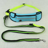 Hands-Free Dog Walking Waist Pack & Leash