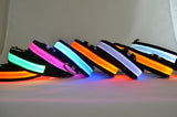 LED Light-Up Dog Collar for Nighttime Visibility