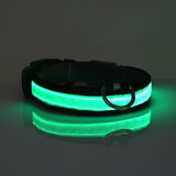 LED Light-Up Dog Collar for Nighttime Visibility