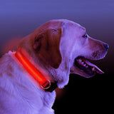 LED Light-Up Dog Collar for Nighttime Visibility