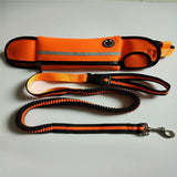Hands-Free Dog Walking Waist Pack & Leash