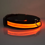 LED Light-Up Dog Collar for Nighttime Visibility