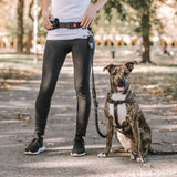 Hands-Free Waist Belt & Shock-Absorbing Bungee Dog Leash