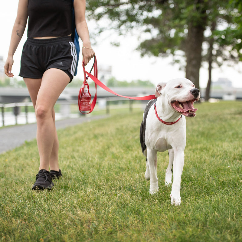 GF Pet Reflective Dog Leash – Red