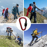 Locking Aluminum Gear Carabiner