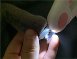 LED Pet Nail Clippers with Safety Guard