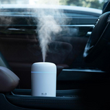 300 mL Portable USB Cool-Mist Humidifier with LED Light